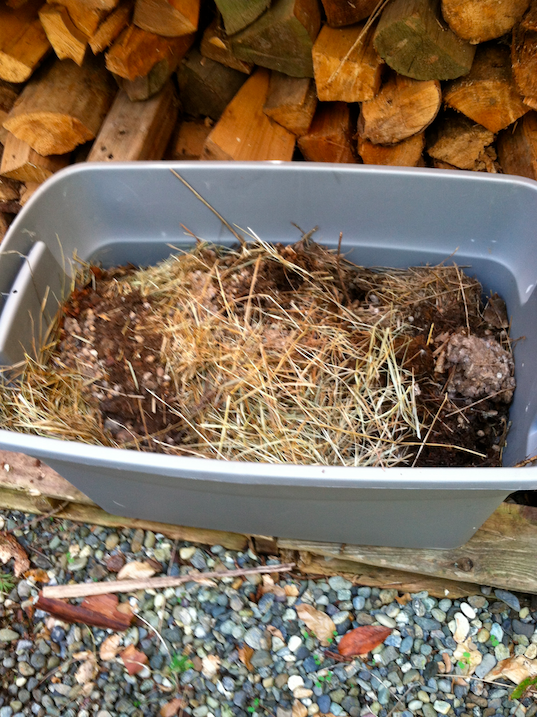 Planting bucket with soil