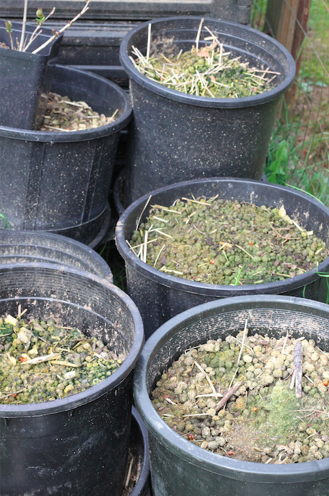 Compost in culverts