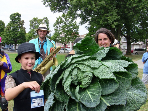 People like social aspects of community gardens