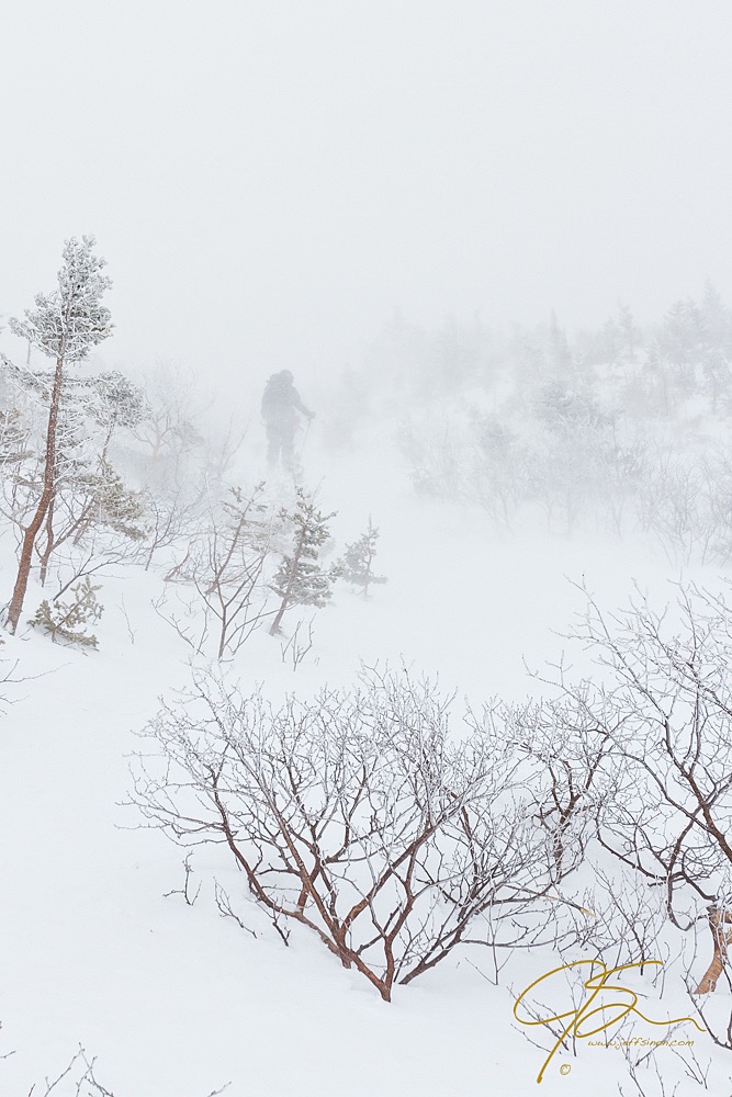 Adventures In Tuckerman Ravine