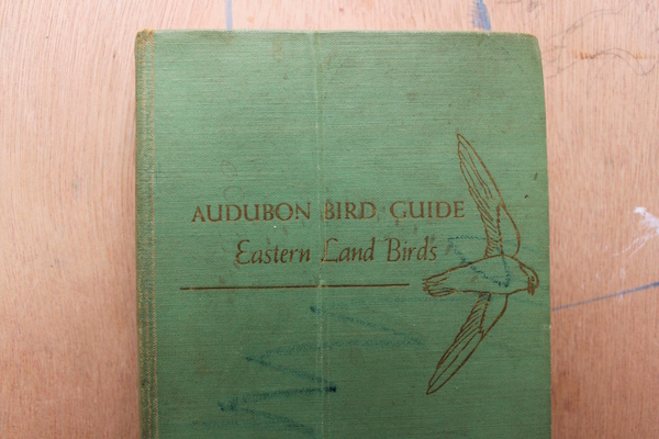 Bird book