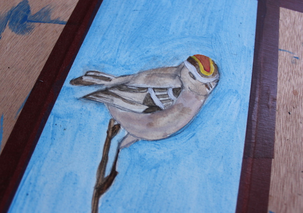 First layer of paint of bird