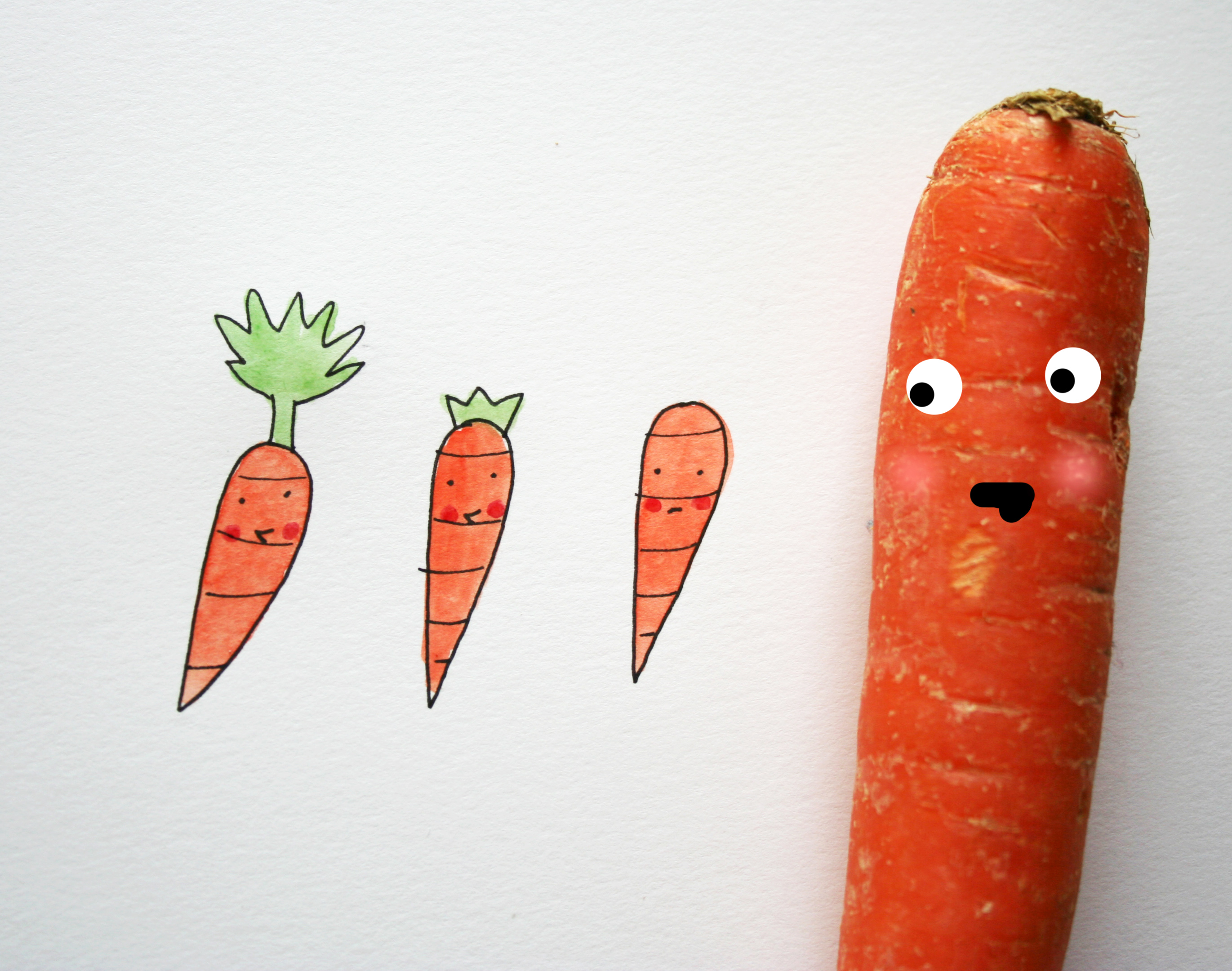 Carrot drawing