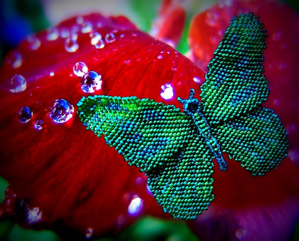 Mysterious Peyote Butterfly jewelry pattern