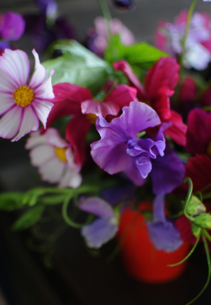 sweet peas