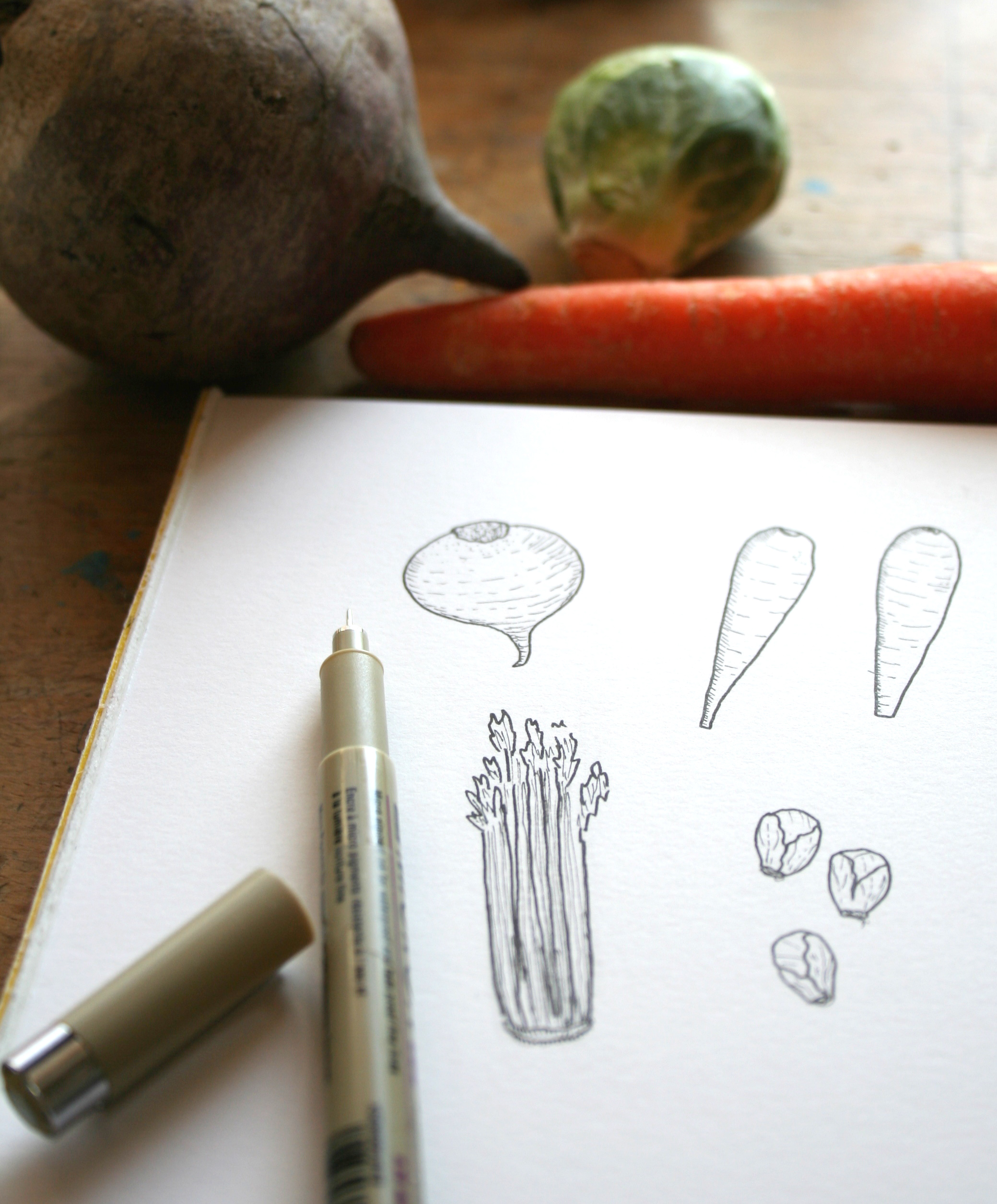 Drawing vegetables