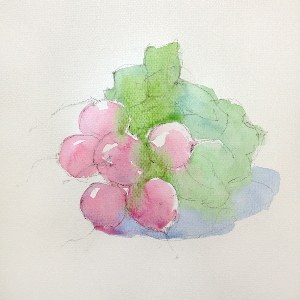 Radish - step 1