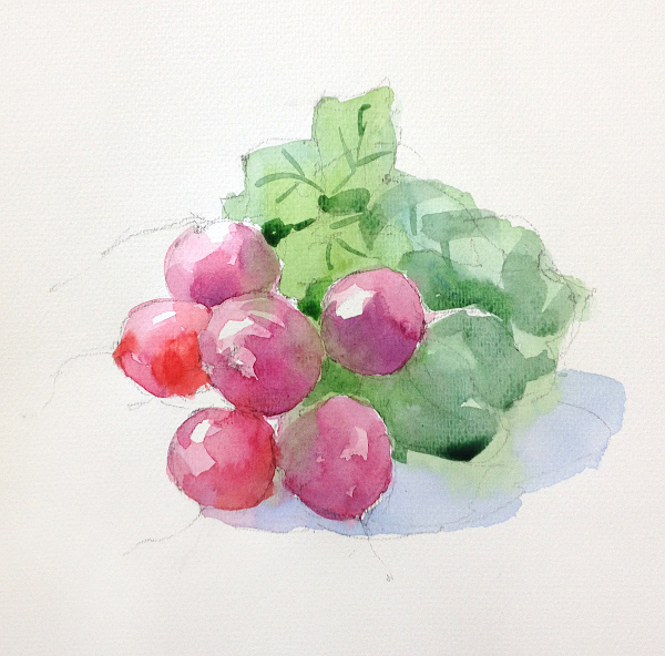 Radish - step 2