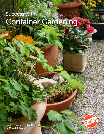 Success With Container Gardening - FREE PDF guide on Bluprint
