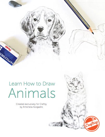 Drawing Animals Guide