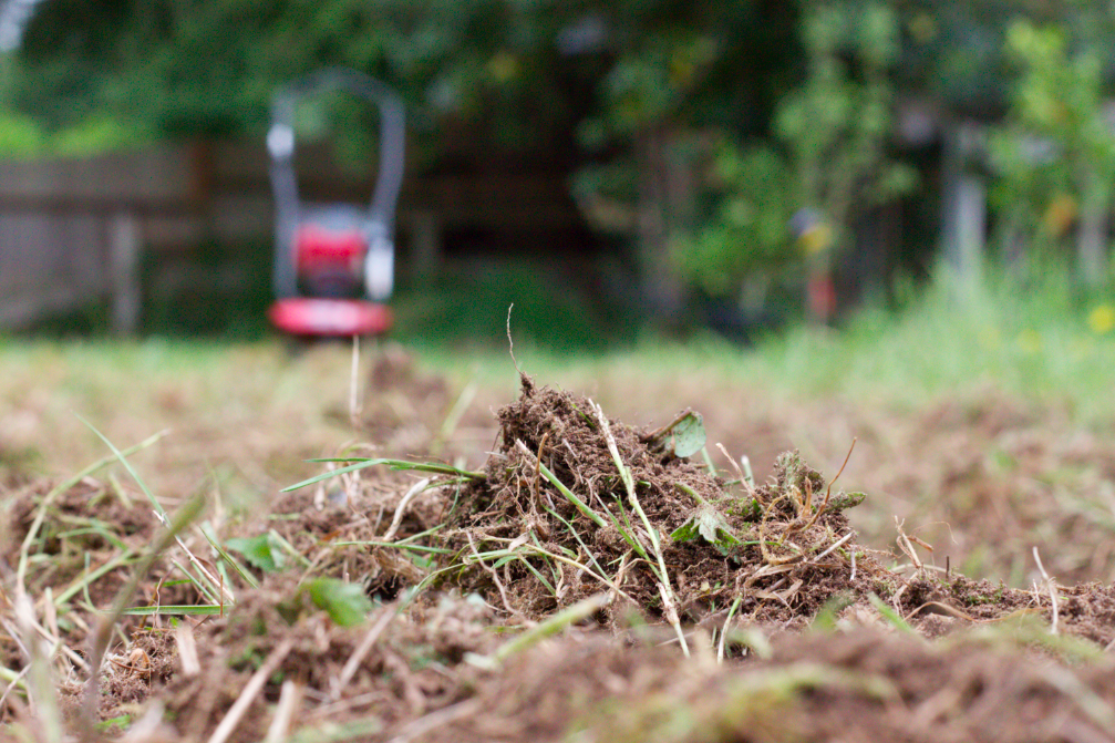 Prep your soil