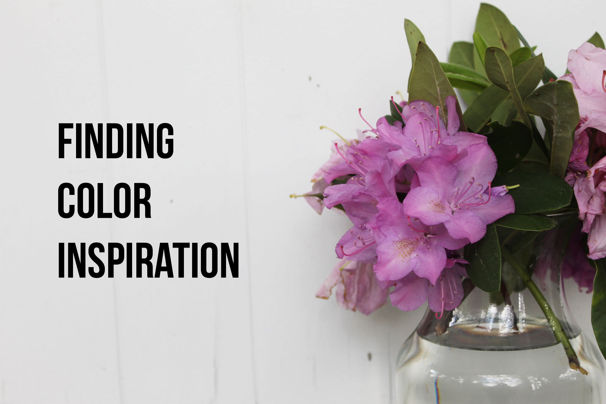 Finding color inspiration