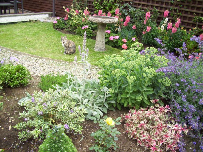 Inspiring Garden