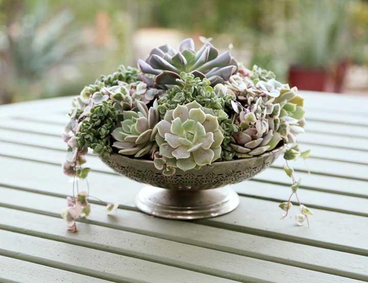 Succulent Floral Arrangement