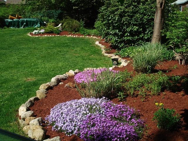 Freshly mulched garden