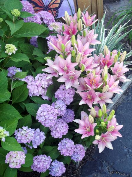 Purple hydrangeas and pink lily of the valley