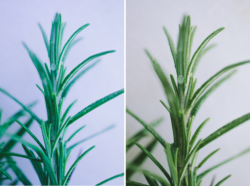 comparison of two photos of a sprig of thyme with different white balances