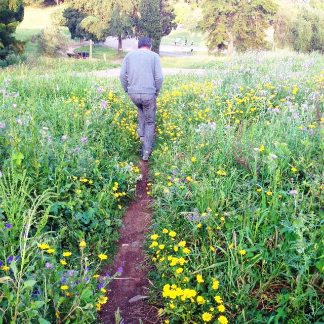 Man walking in a flower field