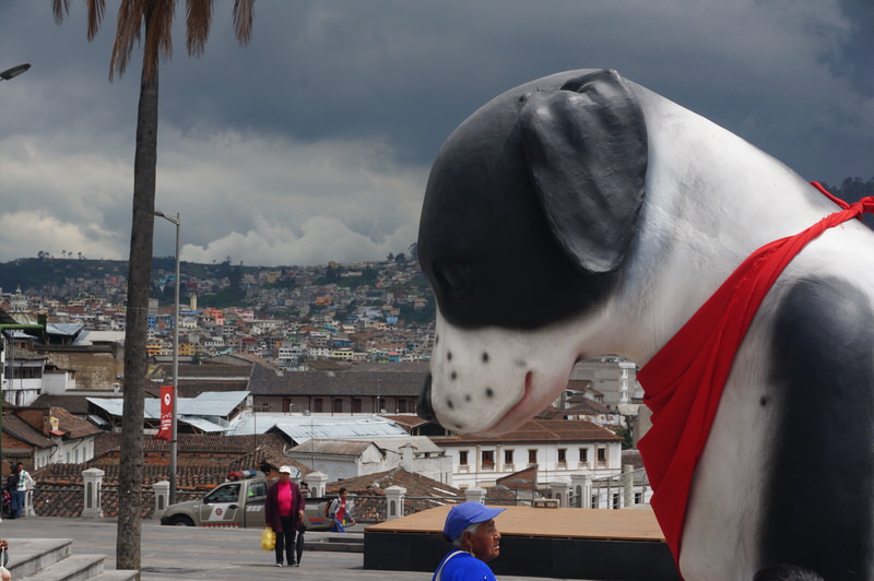 dog looking down on a city and street