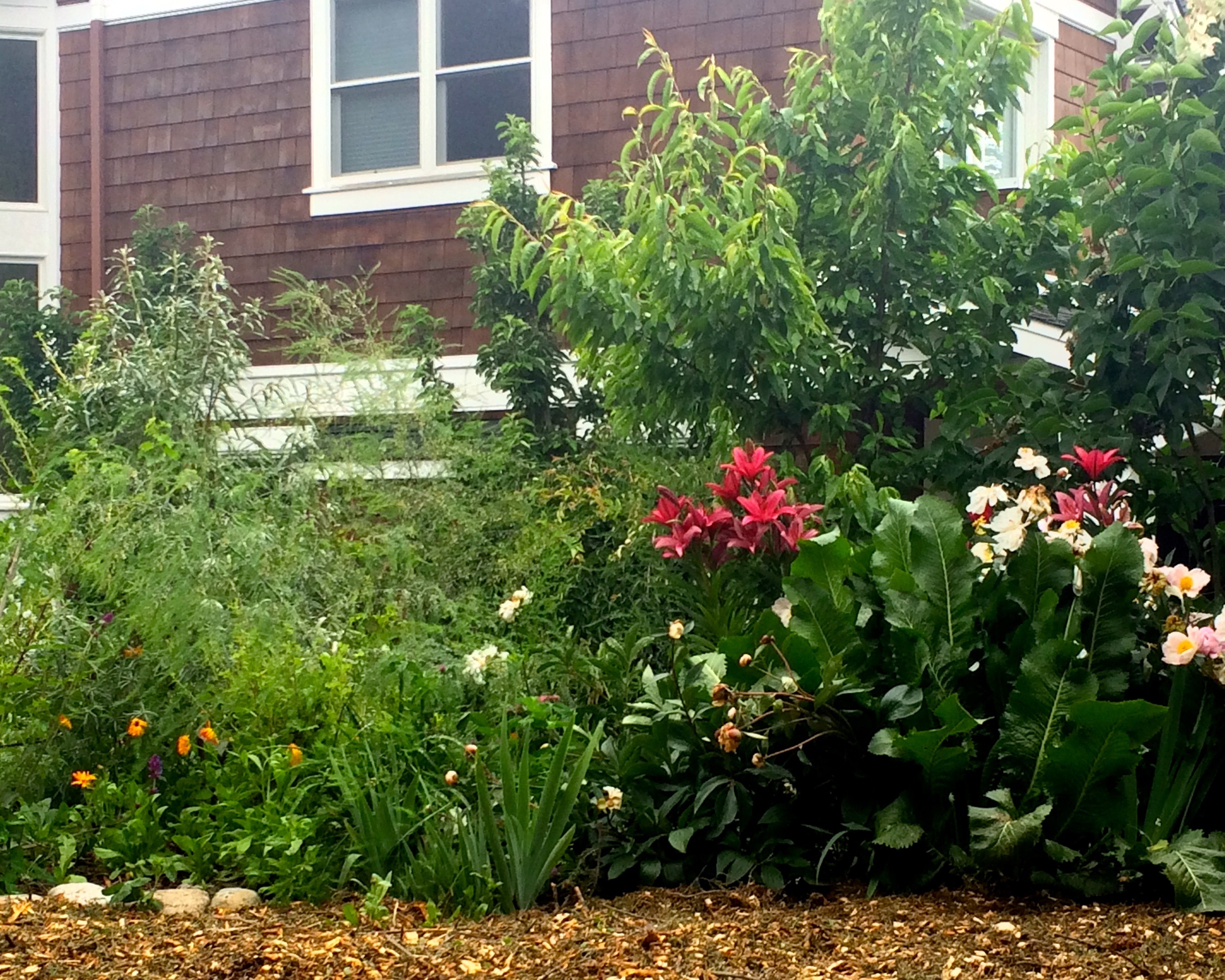 Food Forest