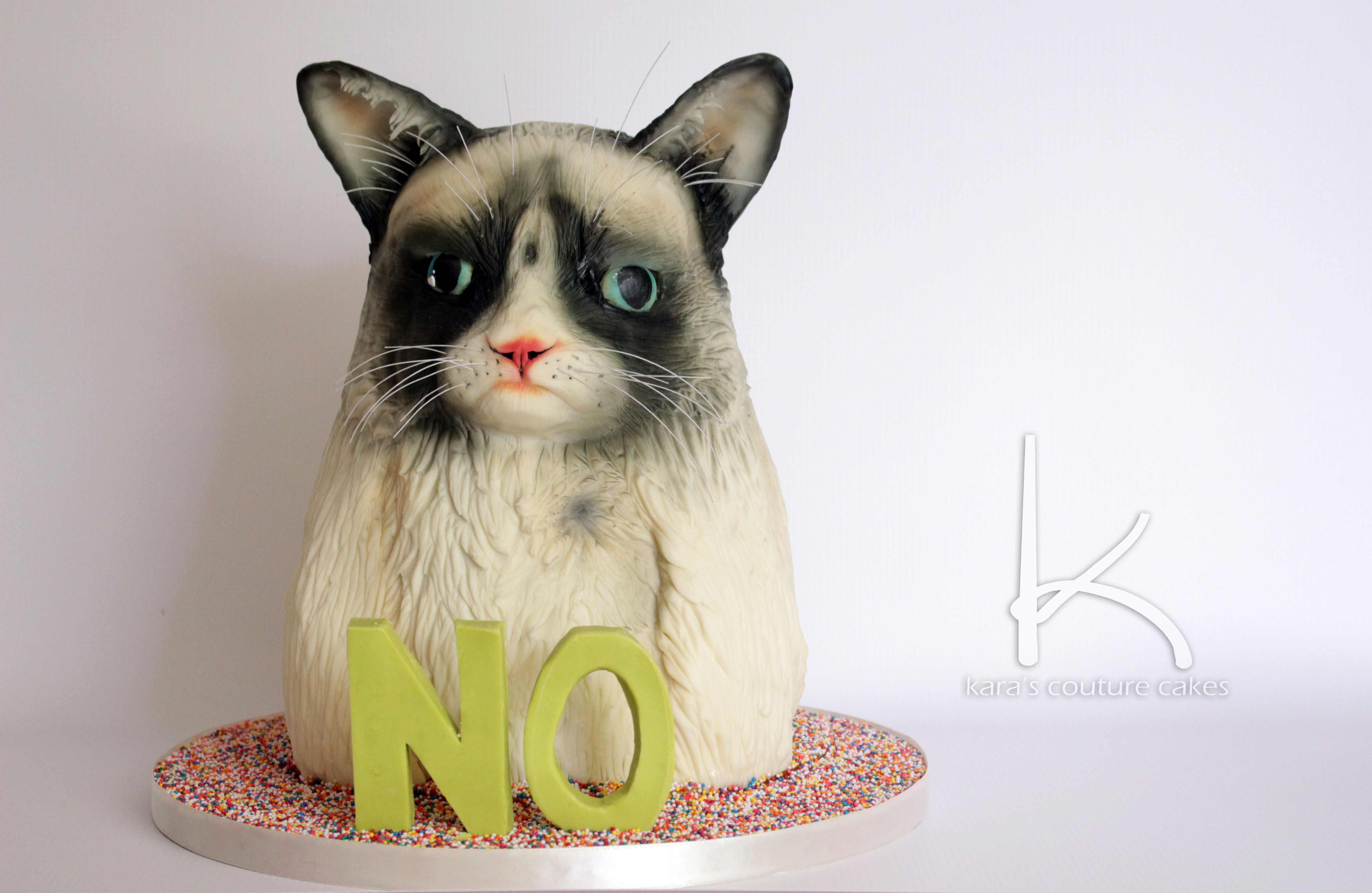 Grumpy cat cake