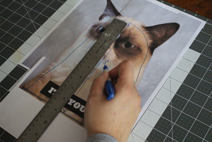 Grumpy Cat Measurements