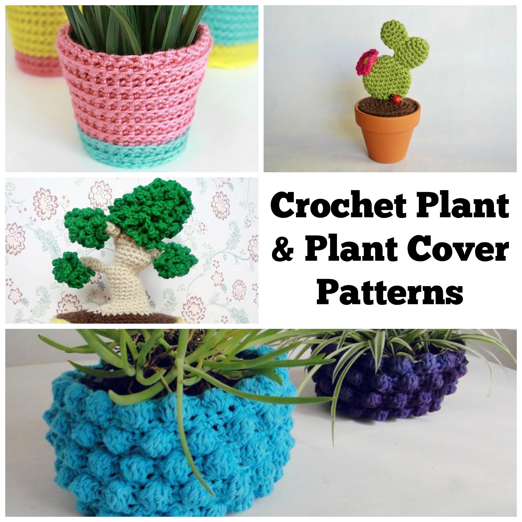 Crochet Plant and Plant Holder Patterns