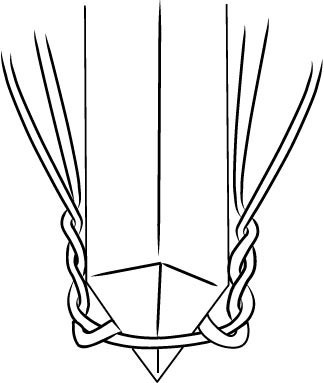 Shape the twist here however you like