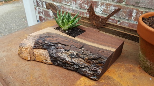 finished planter with succulent main