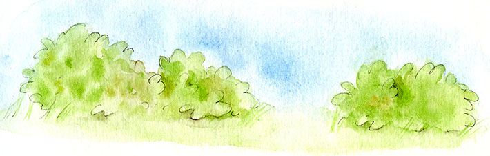 Simple Watercolored Shrubbery