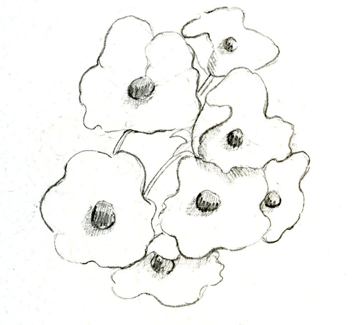 Sketching a cluster of flowers