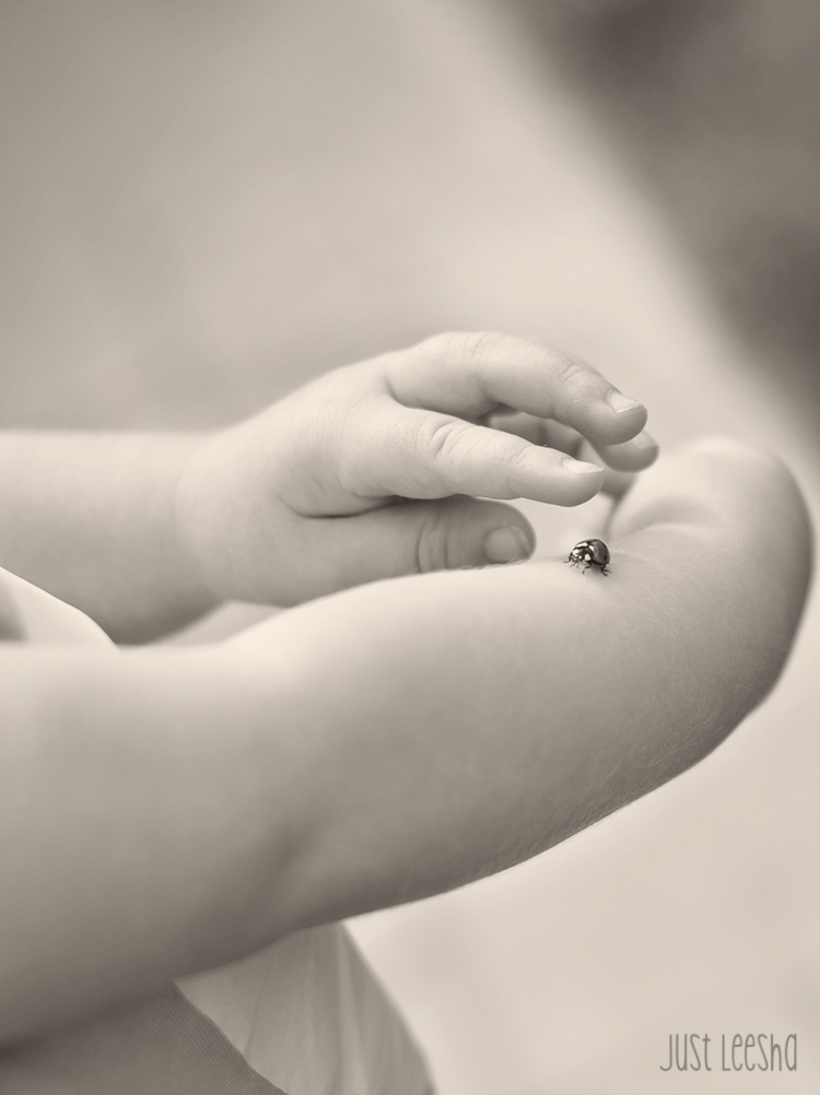 ladybug on child's arm