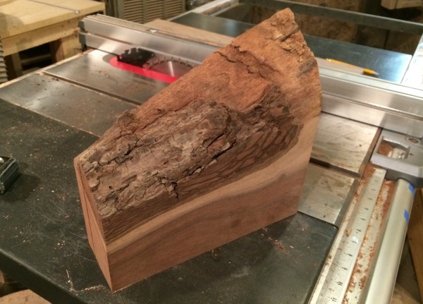 piece of walnut slab