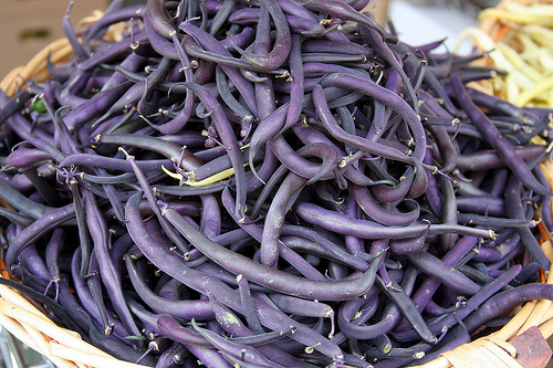 Purple Pod pole beans are delicious and beautiful