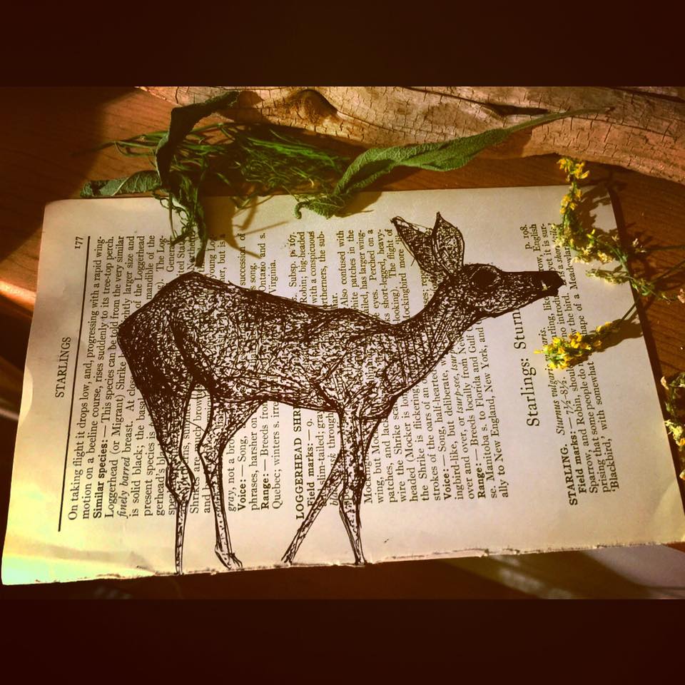 Deer book page