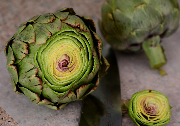 Don't forget to slice off the pointy tips of your Artichokes