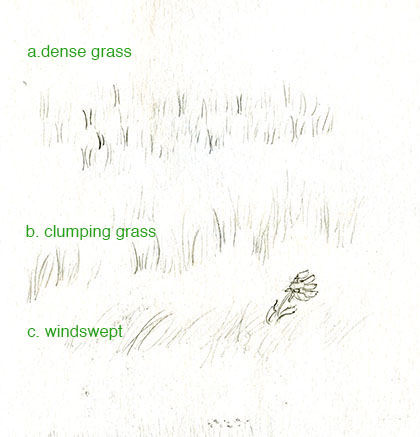 There are three main types of grass you can add in a drawing or painting
