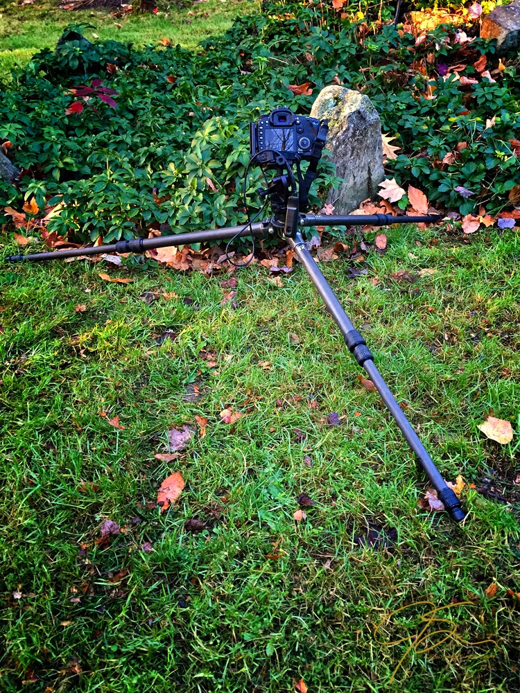 Camera on Low-Set Tripod