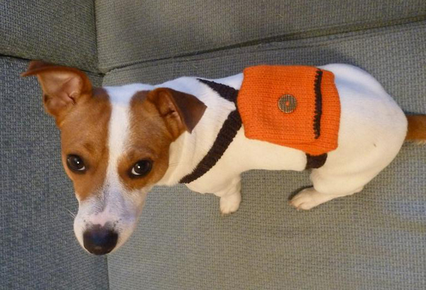 Dog Backpack Knitting Pattern