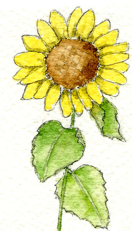 Watercolor sunflower