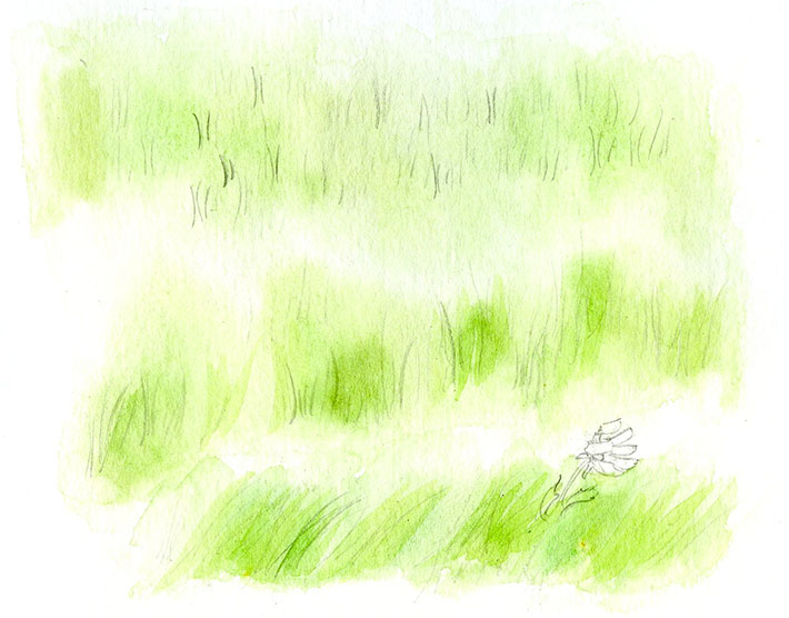 When painting grass, start with a sketch and a green watercolor wash