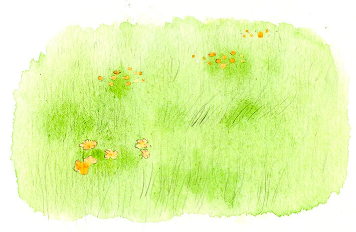 Use a masking fluid on flowers and other plants when painting grass