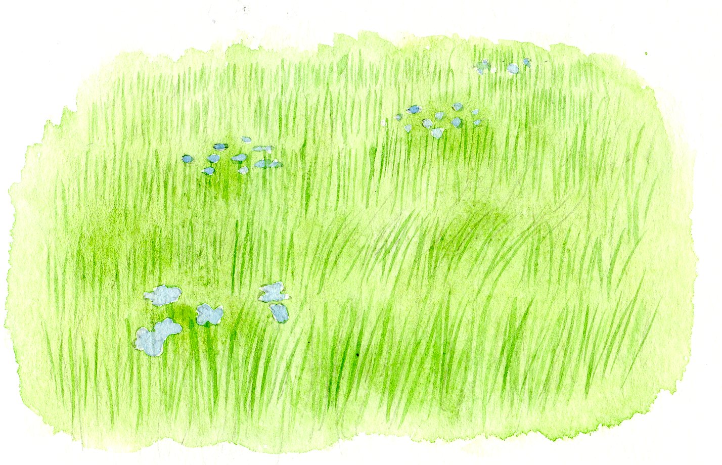 Learn how to paint grass that creates depth and distance in your composition