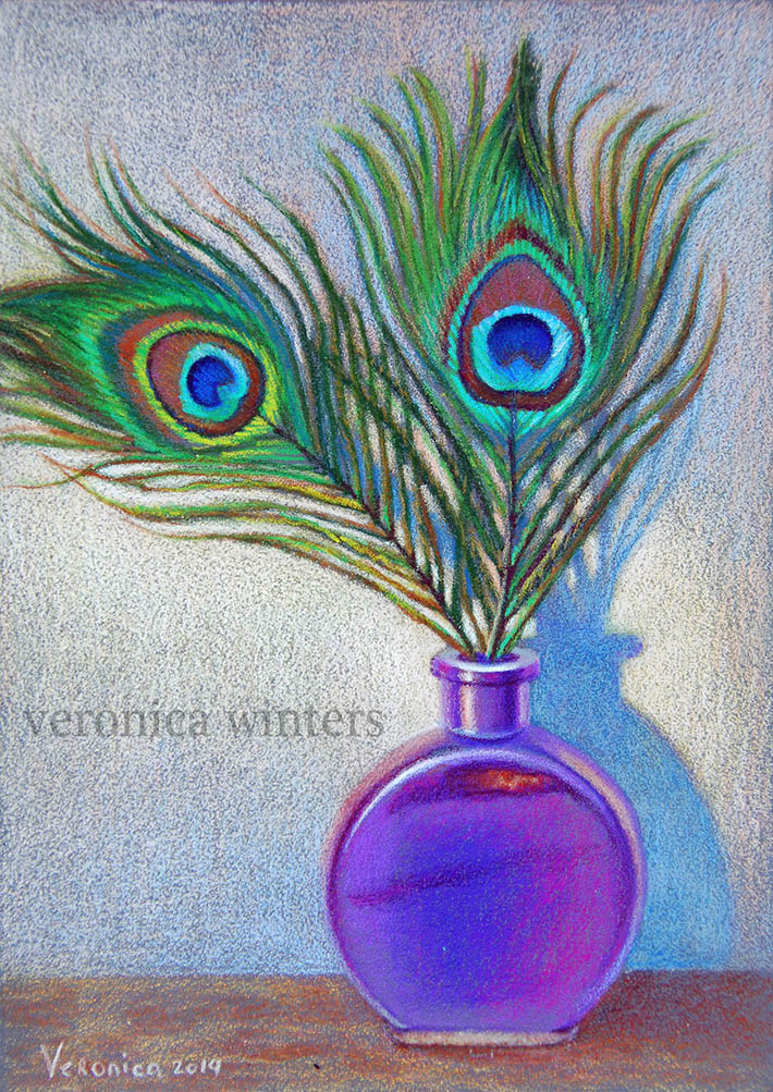 peacock feathers colored pencil drawing