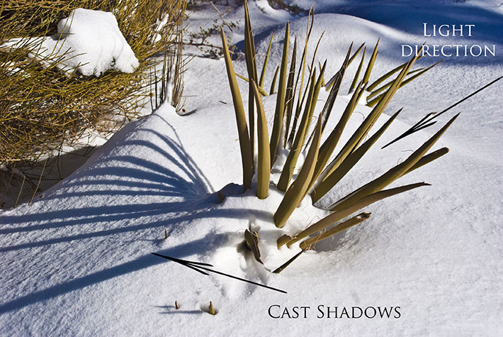 Cast Shadows Outdoors