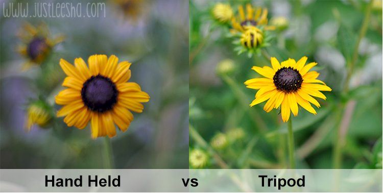 Photos With and Without a Tripod