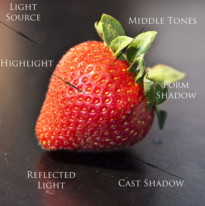 Distribution of Light