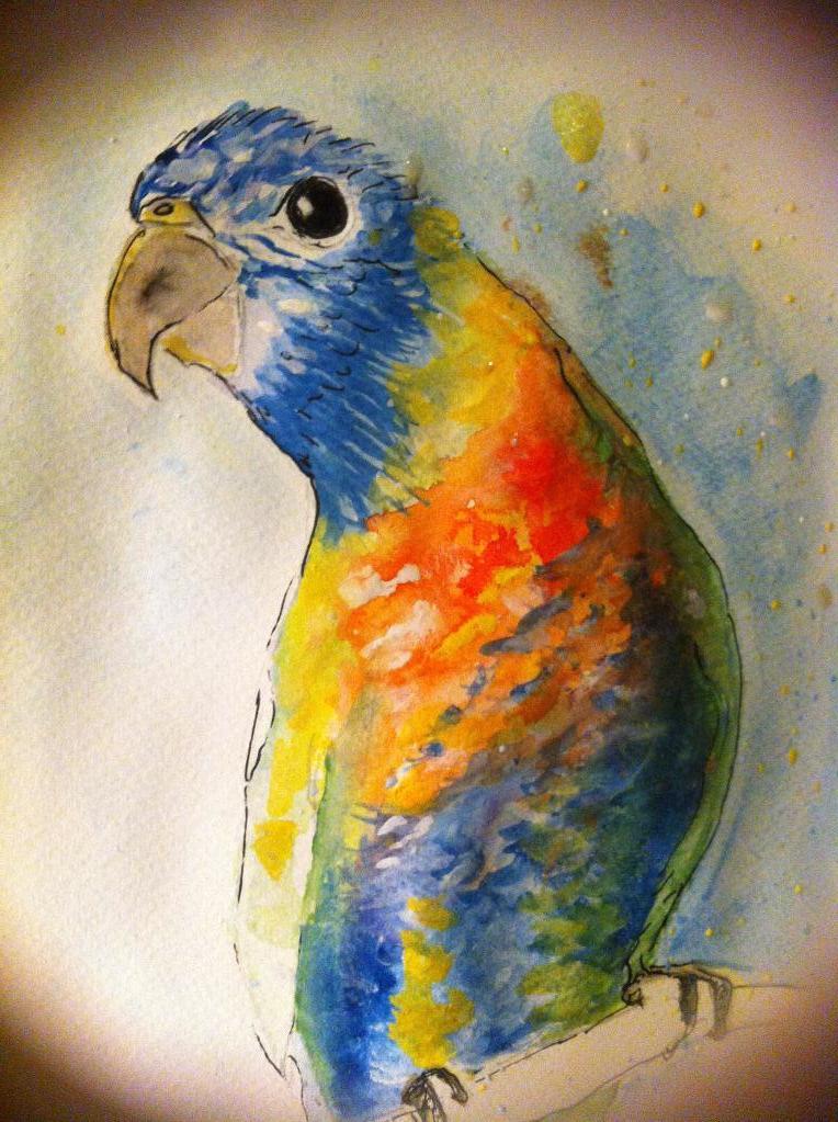 8 Abstract Watercolor Techniques To Try,Colorful Cat Wallpaper