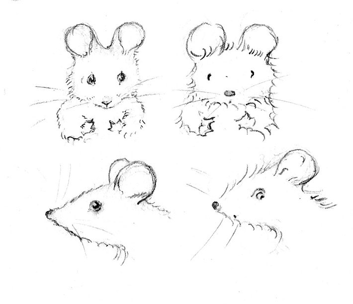 Two Styles of Mouse Drawings