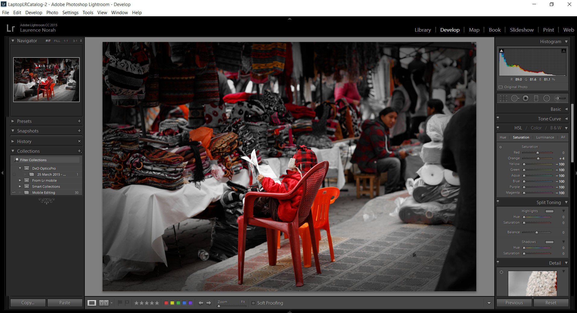 Step 2 for Spot Coloring a Photo